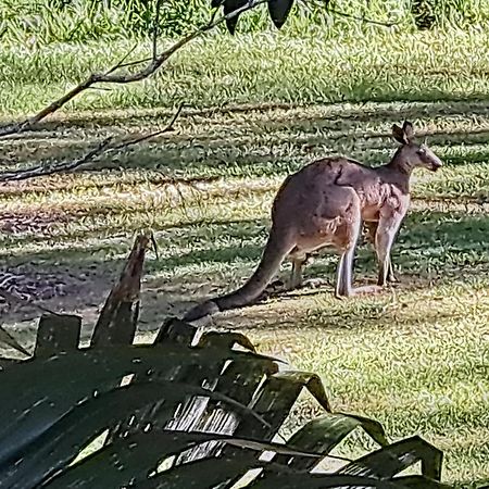 Forest View Bungalow Nambucca Heads Eksteriør billede