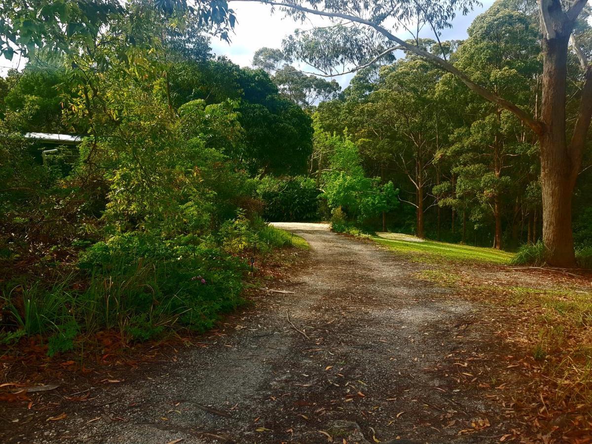 Forest View Bungalow Nambucca Heads Eksteriør billede
