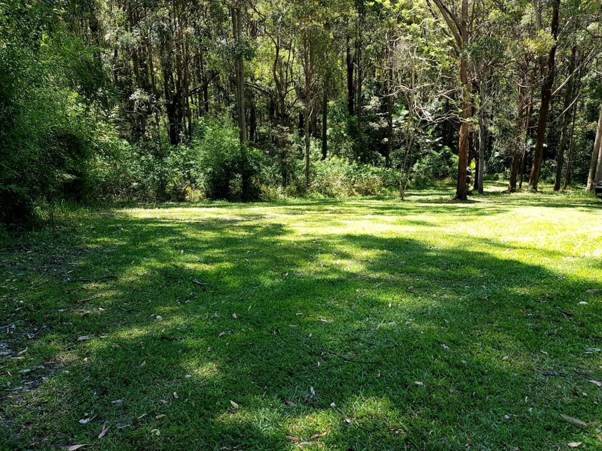 Forest View Bungalow Nambucca Heads Eksteriør billede