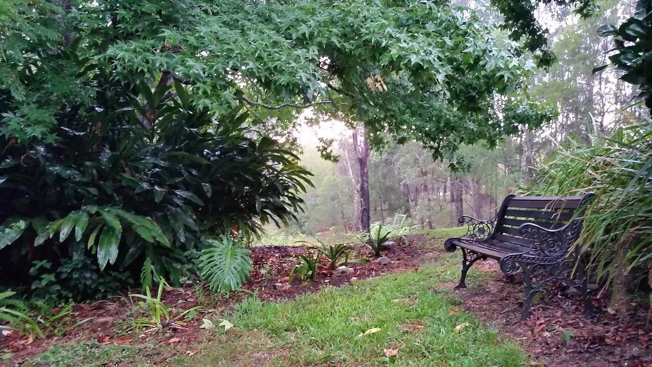 Forest View Bungalow Nambucca Heads Eksteriør billede
