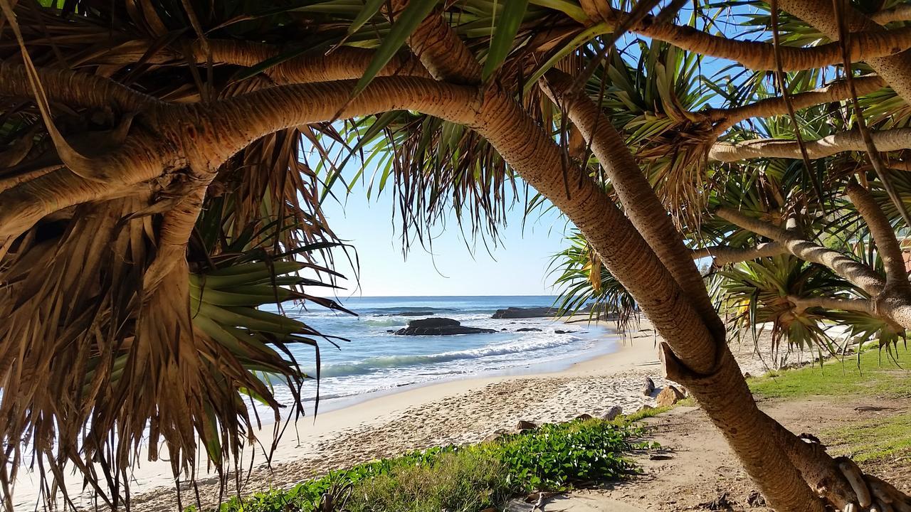 Forest View Bungalow Nambucca Heads Eksteriør billede