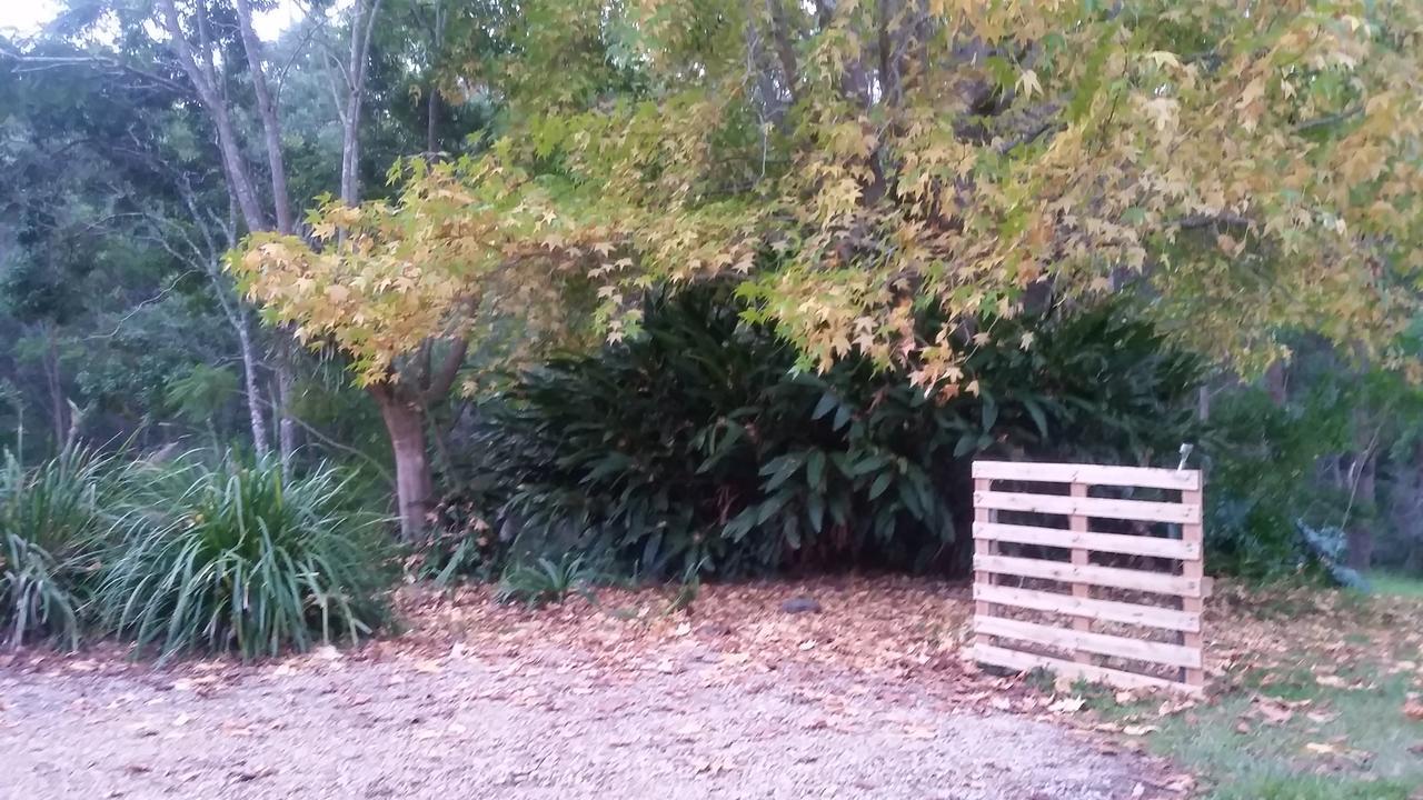 Forest View Bungalow Nambucca Heads Eksteriør billede