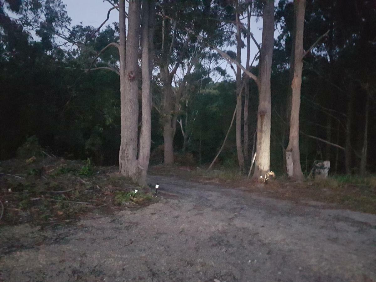 Forest View Bungalow Nambucca Heads Eksteriør billede